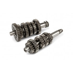 Gearbox Voca Racing Derbi