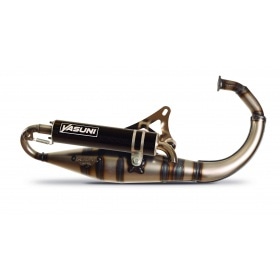 Exhaust Yasuni R-Pro Minarelli vertical Carbon