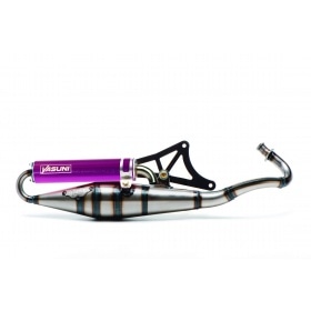 Exhaust Yasuni Z Piaggio Purple