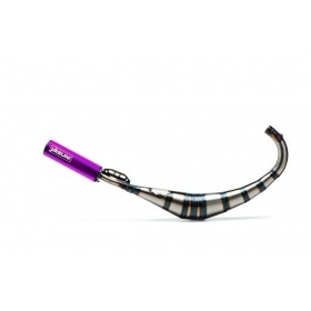 Exhaust Yasuni R2 AM6 / Derbi Purple