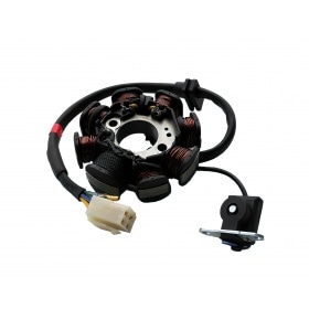 Aizdedzes stators Pit Bike Zongshen 190cc